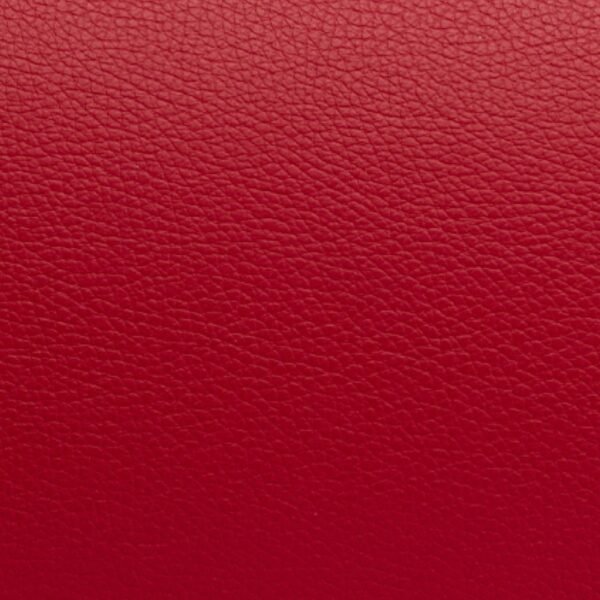 Bolsa acolchada violín/viola Bam L'Étoile rectangular ET9100XP Red Rojo