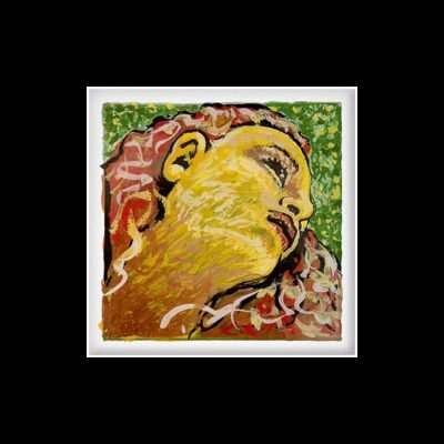 Cuerda violín Pirastro Evah Pirazzi Neo 41B221 2ª La 4/4 Medium 4/4