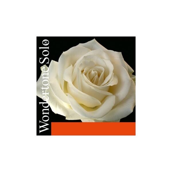 Cuerda Violín Pirastro Wondertone Solo 410521 Juego Bola (2ª acero/aluminio) Medium 4/4