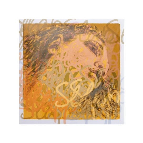 Cuerda contrabajo Pirastro Evah Pirazzi Slap Orchestra 445220 sintético/acero-cromo 2ª Re Medium 3/4