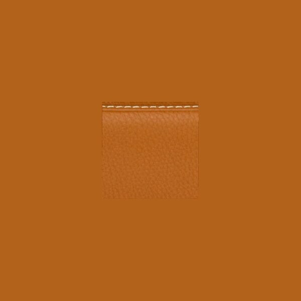 Estuche guitarra clasica Bam L'Étoile Royale Hightech ETRO8002XL Cognac