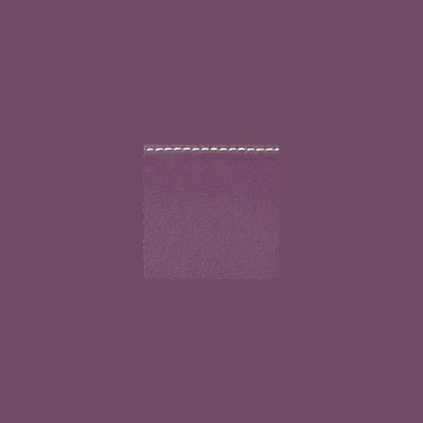 Estuche guitarra clasica Bam L'Étoile Royale Hightech ETRO8002XL Purple Violeta