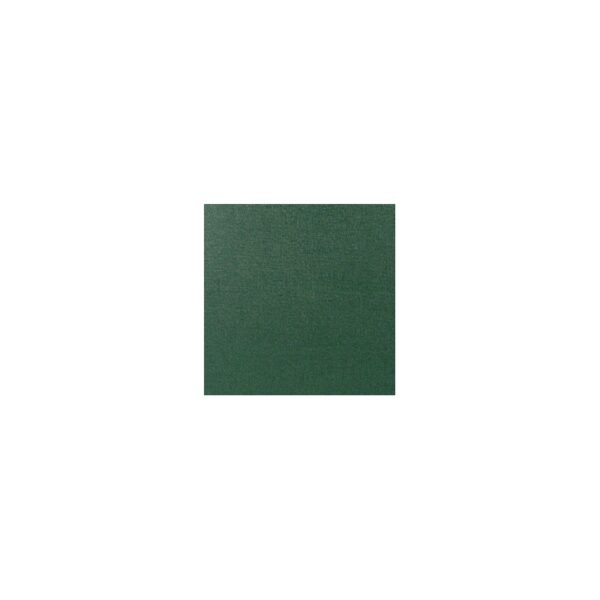 Estuche corneta Bam Trekking 3035S Green Verde