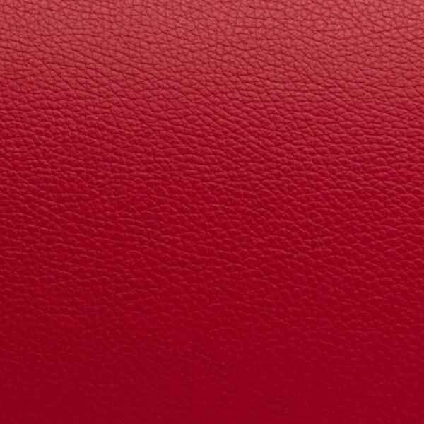 Estuche de fagot Bam L'Étoile Hightech ajustable ET3233XL Red Rojo