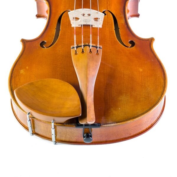 Barbada lateral viola Kaufmann de boj