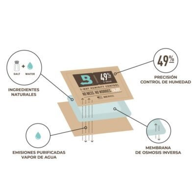 Boveda-Kit-de-Inicio-Grande-49 Boveda Kit de Inicio Grande 49%