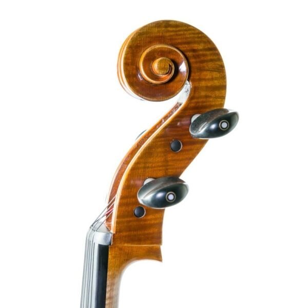 Cello-Antonio-Wang-model-Brandenburg-Copia-Antonio-Stradivari-1710 Cello Antonio Wang modelo Brandenburg 4/4