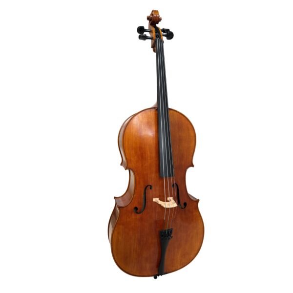 Cello J. B. Lacroix Lyon 4/4 4/4