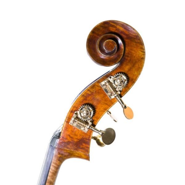 Contrabajo F. Müller Master Antiqued 3/4 3/4