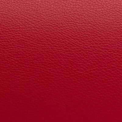Estuche para 6 arcos violín/viola/cello Bam Hightech Étoile ET7001XL Red Rojo