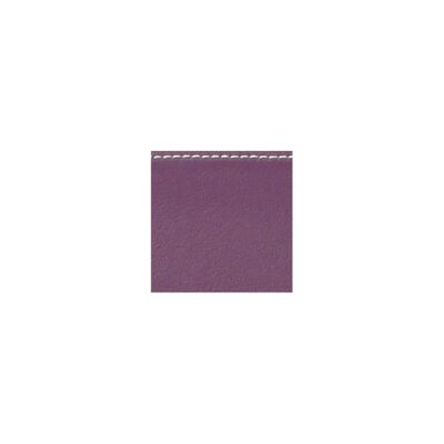 Estuche para 6 arcos violín/viola/cello Bam Hightech Étoile ET7001XL Purple Violeta