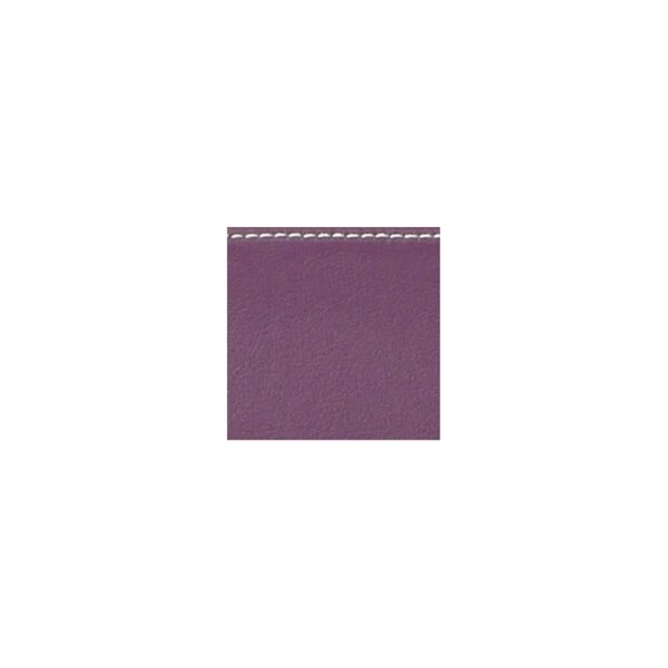 Estuche para 6 arcos violín/viola/cello Bam Hightech Étoile ET7001XL Purple Violeta