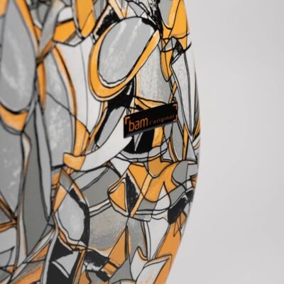 Estuche de cello Bam Cube Hightech Ed. Limitada CUB1005XLN 4/4