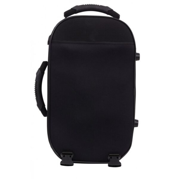 Estuche corneta Bam Saint Germain SG3035S Gray Gris