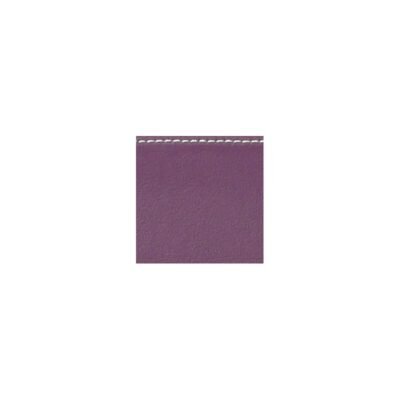 Estuche de oboe Bam L'Étoile Hightech Compact ET3129XL Purple Violeta