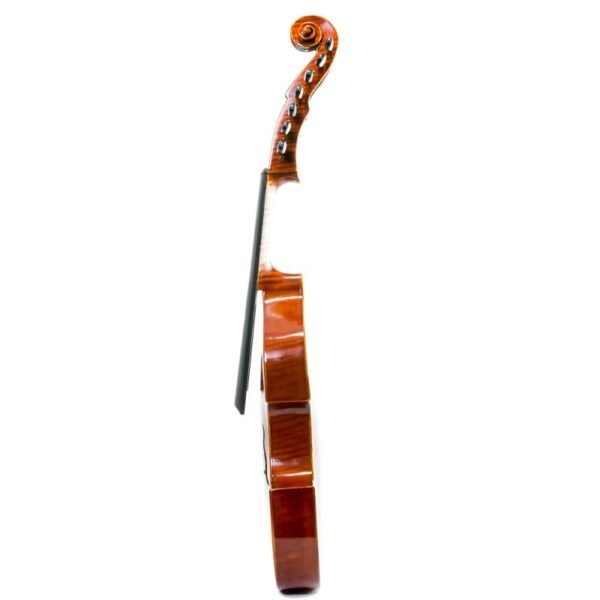 Viola D'Amore Rapsody DAM600