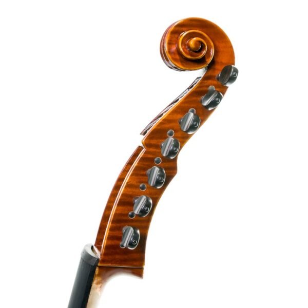 Viola D'Amore Rapsody DAM600