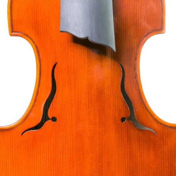 Viola D'Amore Rapsody DAM600