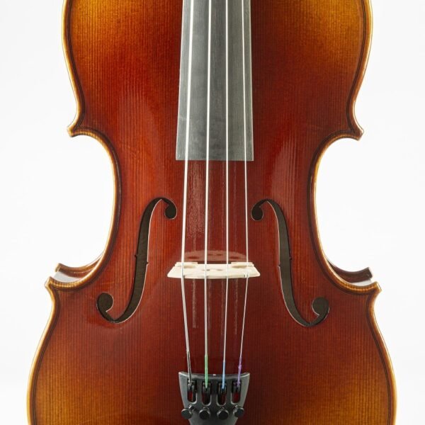 Viola F. Müller Soloist 16,5''
