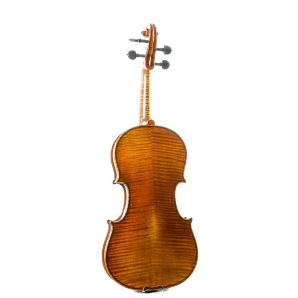 Violín Stentor Master 4/4