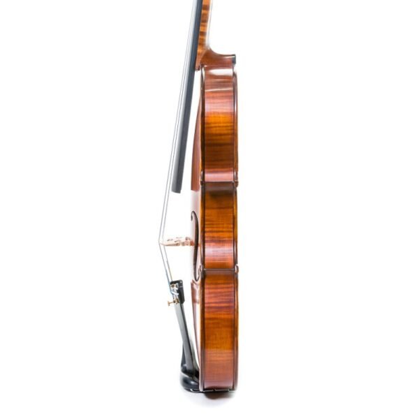 Violín Gliga Cristian 4/4 4/4