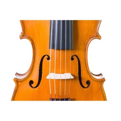 Violín Gliga Gems II 4/4 5 cuerdas 4/4