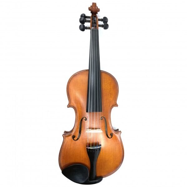 Violín Gliga Gems II 4/4 5 cuerdas 4/4