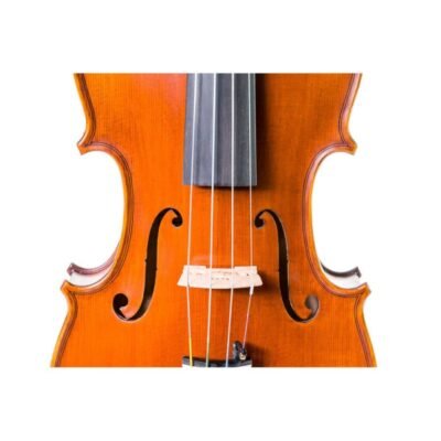 Violín Gliga Vasile 4/4 4/4
