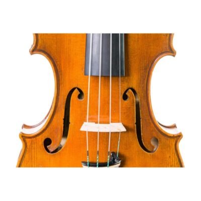 Violín  Mr. Danio Wu, Master Signature 4/4