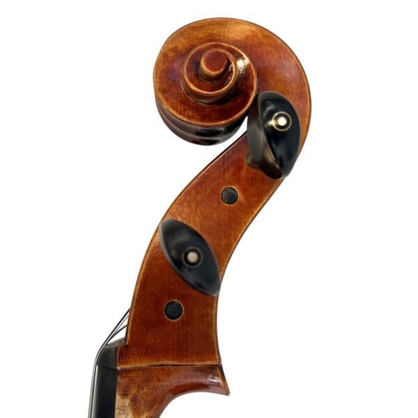 cello-tradizione-vibrato Cello Tradizione Vibrato 7/8