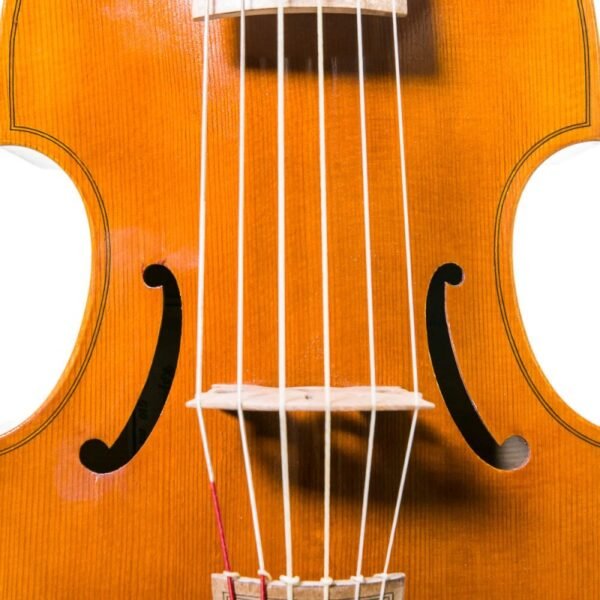 Viola de gamba Rapsody G10 360 mm