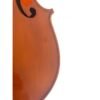 Viola F. Müller Virtuoso 16,5"" Set (B-stock nº 290) 16,5''