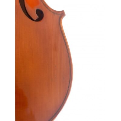 Viola F. Müller Virtuoso 16,5"" Set (B-stock nº 290) 16,5''