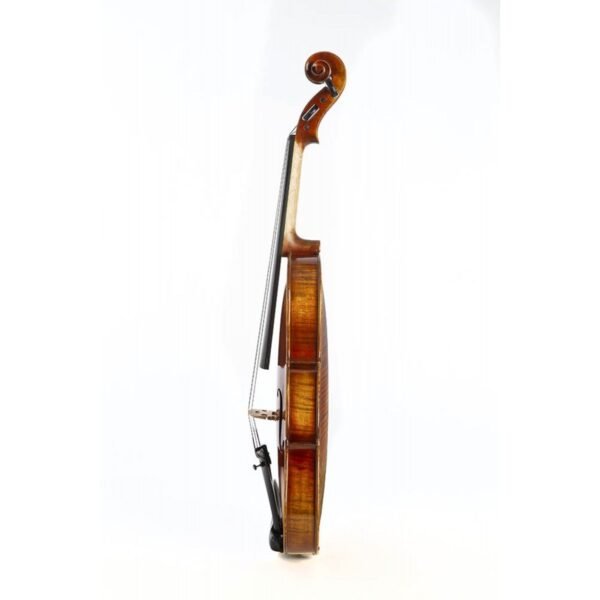 violin-f-mueller-soloist Violín F. Müller Soloist 4/4