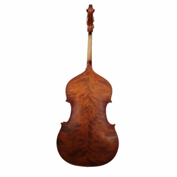 Contrabajo de estudio modelo conservatorio para estudiantes