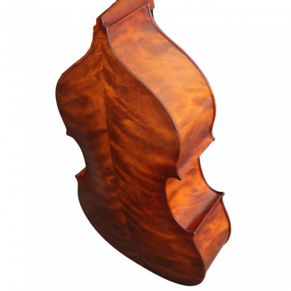 Contrabajo de estudio modelo conservatorio para estudiantes