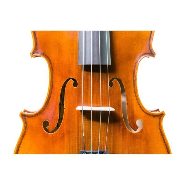 Viola Scott Cao Moderato 16'5""