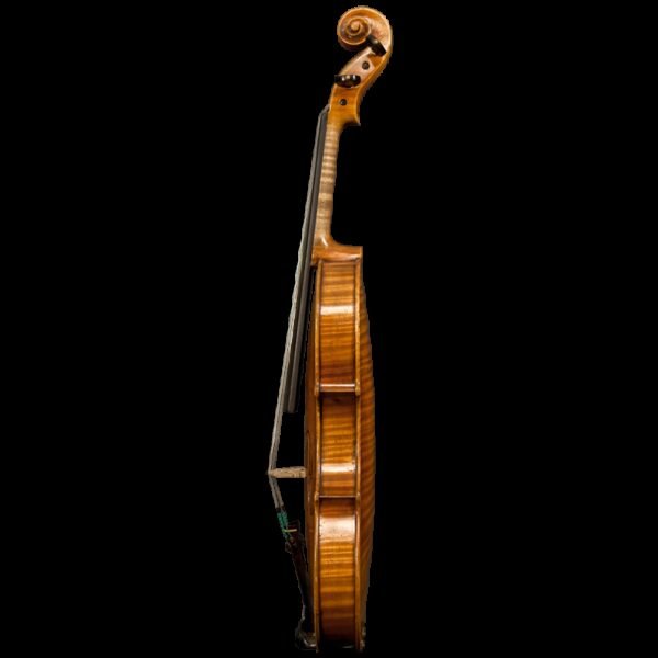 Violín  Mr. Dennis Yi, Master Signature