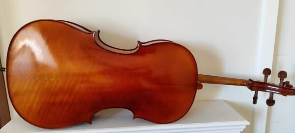 Fondo de arce rizado de violonchelo 4/4 de segunda mano